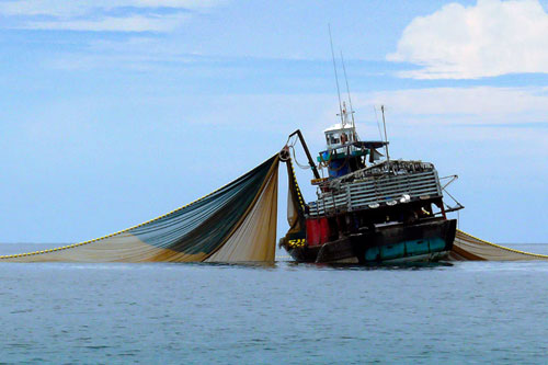 home-pesca.jpg