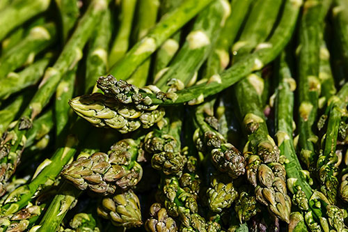 home-verduras.jpg