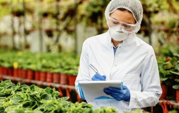 que-labores-realiza-un-ingeniero-agroindustrial-570x360-1.jpg